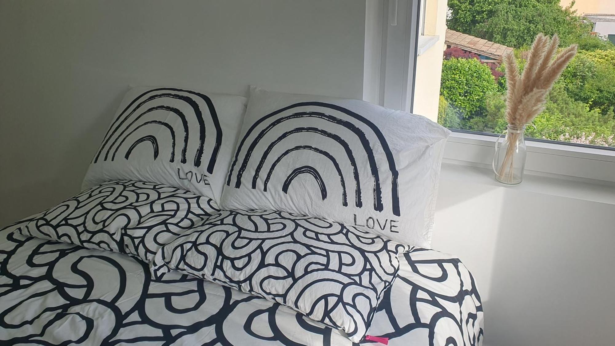 Appartement Moderne 斯特拉斯堡 外观 照片